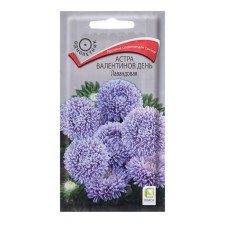 A mixture of flower Astra 