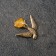 Tailor-Talisman "Bird of Happiness", natural amber
