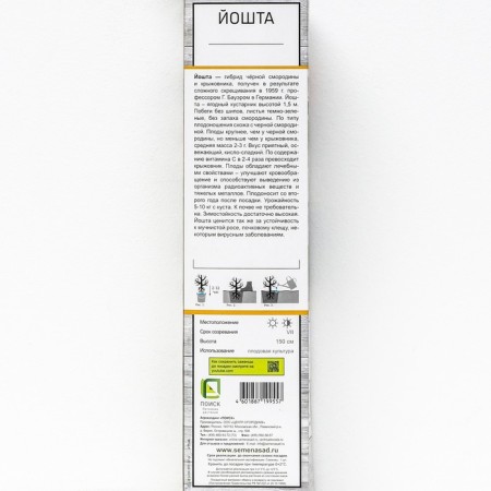 Yoshta (gooseberry x currants, yostaberry) "" 1 pc, tube, spring 2025-1