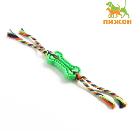 Chewing toy with rope, 11 x 5.5 cm, green