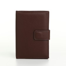Cover 2 in 1, for auto documents and passports on a magnet, brown color