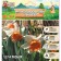Narcissus Large-crop chromacolor, rr 12/14, 4 pcs, autumn 2024