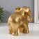 Souvenir Polystone "Elephant with Elephant" 19x10.5x15.5 cm