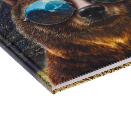 Diary for grades 5-11, "Bear with glasses", solid cover 7BC, glossy lamination, 48 sheets-2