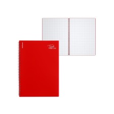 A4 notebook 80 sheets, a cage on a spiral, Erichkrause, 