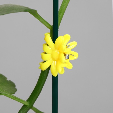 Clips for plants "Flower", set of 10 pcs., Mix-8