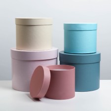 Set of boxes 5 in 1, gift packaging, “tenderness”, 13 x 13.5–19.5 x 23 cm