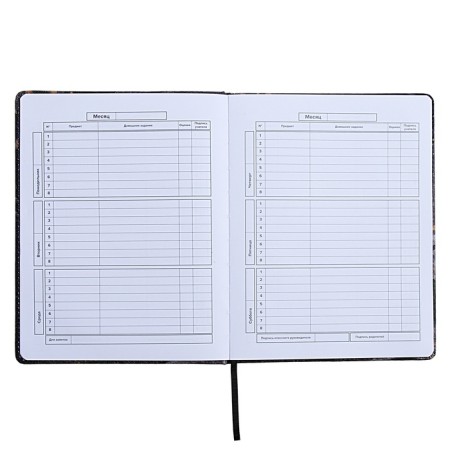 Universal Diary Grade 1-11, 48 sheets "Break the Rules", a solid cover of artificial leather, lies, an offset unit-8