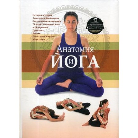 Anatomy and yoga