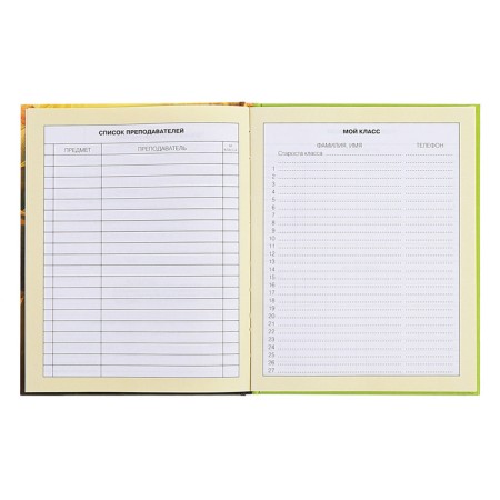 Diary for grades 1-4, hard cover "duckling", matte lamination, selective varnish, block 60 g/m2-6