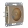 Glossa socket Sche GSL000441, 16 A, single, hidden, without salary, color titanium