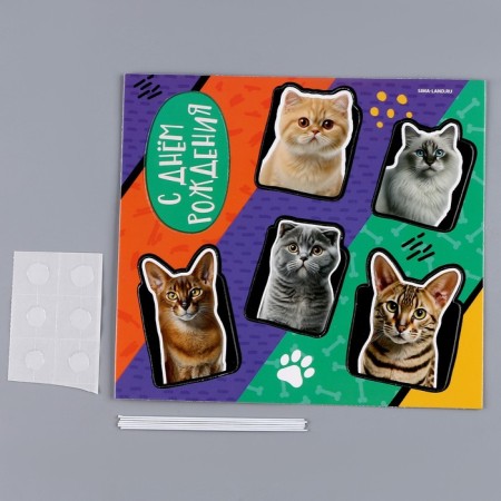 Topper cardboard on a substrate with a wire "cats"-2