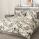Bed linen euro, size 240x260 cm, 220x240 cm, 50x70 cm - 2 pcs