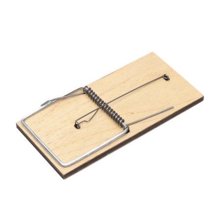 Root, 15 × 7.5 cm, wooden-1
