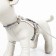 AMONICE SECTION "Mouse" with a soft harness, leash 120 x 1 cm, Osh 18-22 cm, fire 24-30 cm, gray