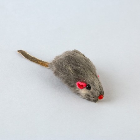 Toy for cats laser+mouse "Now the cat you"-2