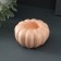 Summary "Pumpkin" 8x10cm, peach