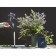 VAZ TKANO EDGE, 27 cm, mint color
