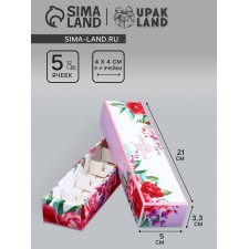 Box for 5 sweets with a shell, with a window 