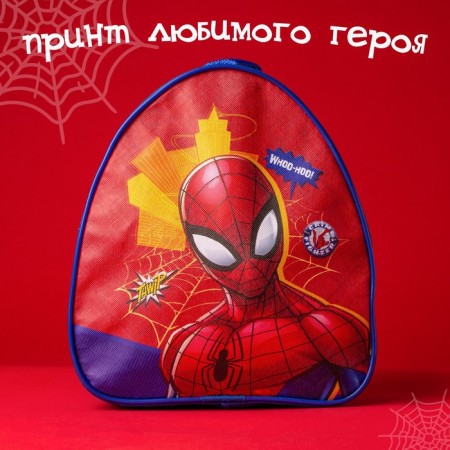 Baby backpack, 23x21x10 cm, Spider-Man-6