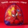 Baby backpack, 23x21x10 cm, Spider-Man
