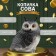 Piggy bank "owl with ears gray" height 18 cm, width 15 cm, length 16 cm