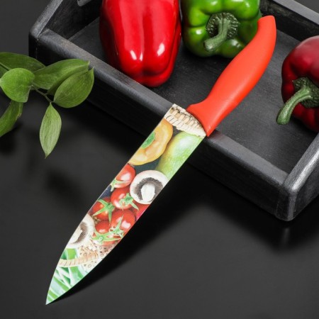 Kitchen knife with an anti -wagoning coating of the “crop” boss, blade 20 cm-2
