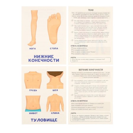 Training cards "Human Body"-7
