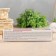 Tibetan gel balm V. Dyakul 100ml