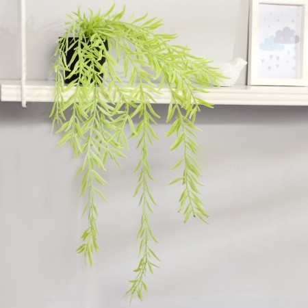 Bonsai "Iva purple" plant 50 cm (pot H-8, D-8.5 cm) mix-3