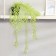 Bonsai "Iva purple" plant 50 cm (pot H-8, D-8.5 cm) mix