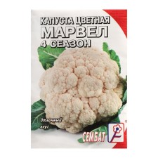 Seeds Cabbage Color 