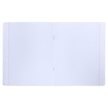 Notebook of 12 sheets in the “Amazing kittens” cage, cover coated paper, VD-LK, MIX-1