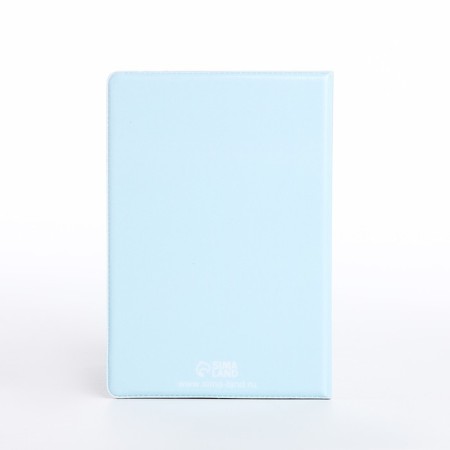 Cover for passport, blue color-2