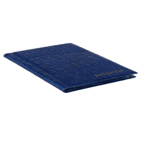 Album for coins 125 x 185 mm Calligrata, 240 coins, cell 26 x 29 mm, 10 sheets, covering artificial leather, blue-1