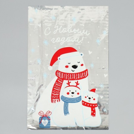 Plastic package "heat and comfort", 20 x 30 cm, new year-2