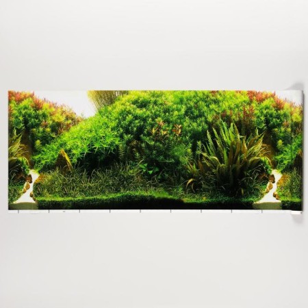 Background for aquarium, 40 cm, roll 25 m