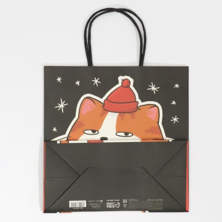 Gift package "Happiness", 22 x 22 x 11 cm, new year-6