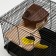 A cage for rodents "Pijon", with a filling of 47 x 30 x 27 cm, black