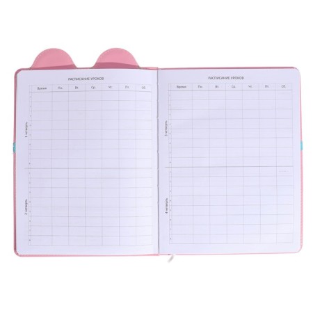 Universal diary 1-11 grade mouse, firm cover with foam rubber, with a refrain, lies, block 80 g/m2-4