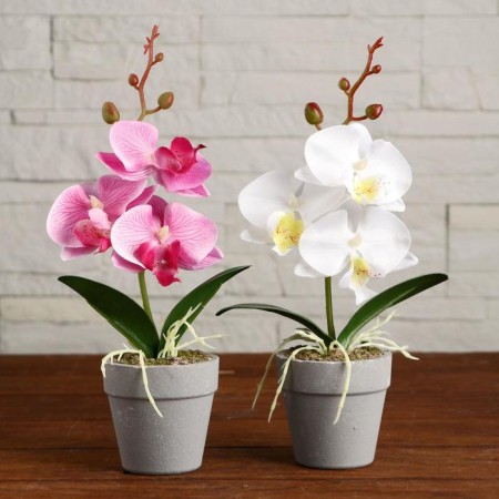 The composition in the pot "Orchid" 7x23 cm, mix-3