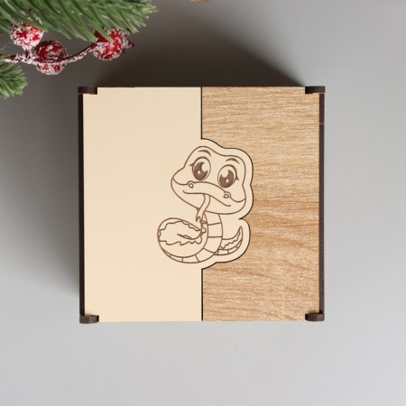 New Year's box combined "snake" 10.5x10x7 cm-2