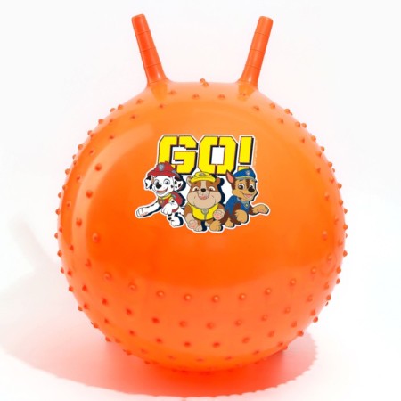 Massage jump with PAW PATROL GO, D = 45 cm, weight 350 g, Mix color-4