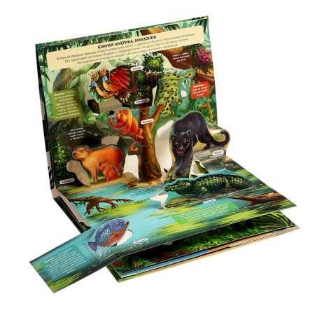 3D Encyclopedia Panoramk "Jungle"-6