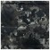Tourist Maclay, folding, 180x60x1.5 cm rug, mix