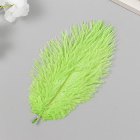 Decorative ostriches "Salad" h = 15-20 cm-1