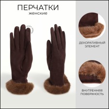 Gloves are female, dimensionless, without insulation, brown color