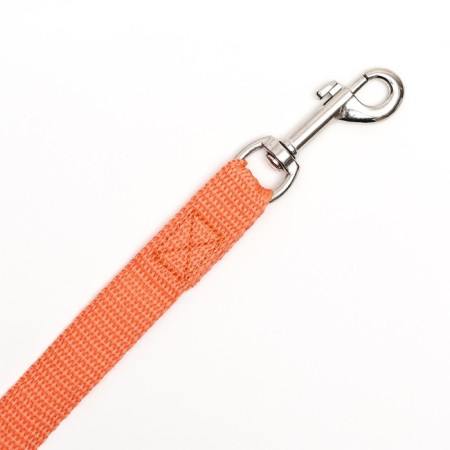 Leash of kapron -colored zoonik, 3 m x 2 cm, mix of flowers-4