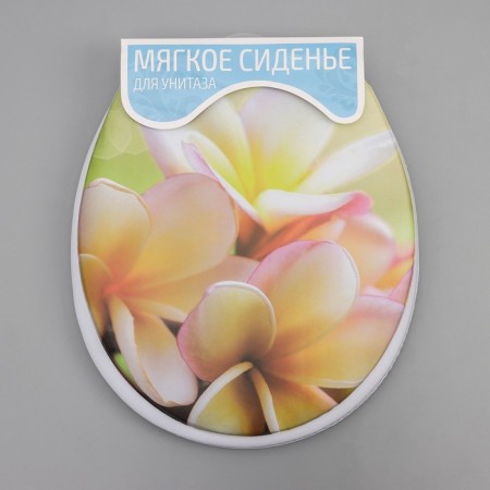 Сиденье для унитаза с крышкой «Плюмерия», 40×37 см-9