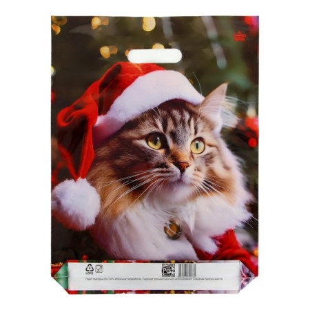 Package "New Year MUR", polyethylene with a cut pen, GL 40 x 31 cm, 60 μm-1